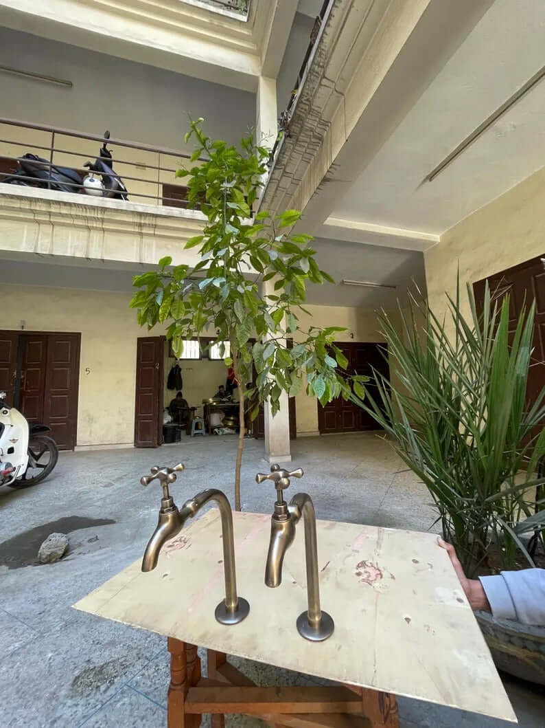 Premium handmade brass water dispenser faucet displayed in a stylish indoor setting with greenery.